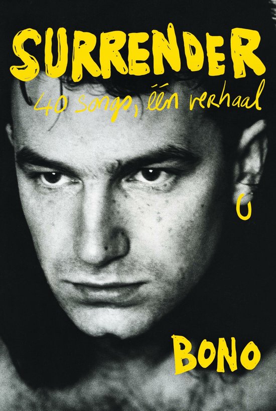 Surrender — E-book